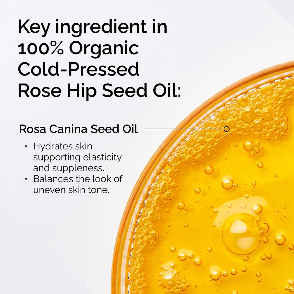 100-organic-cold-pressed-rose-hip-seed-oil-x9 FY25-D41247-ORD-Web-PDP-100-Rose-Hip-Oil-1x1-EN-2.jpg