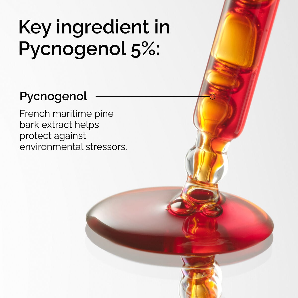 pycnogenol-5-o7 FY25-D41247-ORD-Web-PDP-Pyc-5pct-1x1-EN-2a.jpg