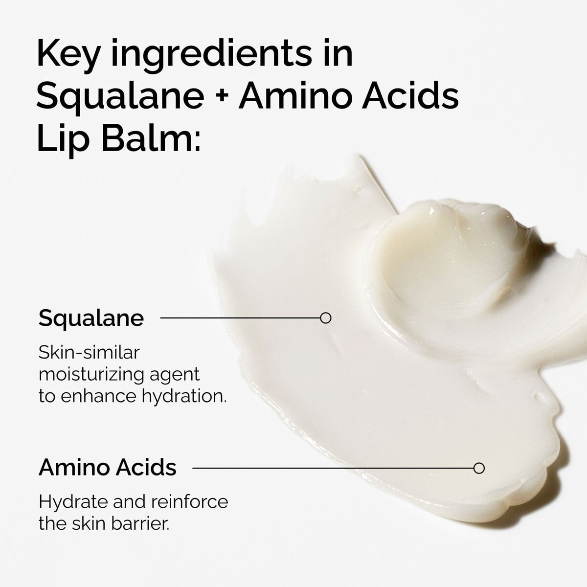 squalane-amino-acids-lip-balm-x5 FY25-D41247-ORD-Web-PDP-Sql-Amino-Lip-1x1-EN-2a.jpg
