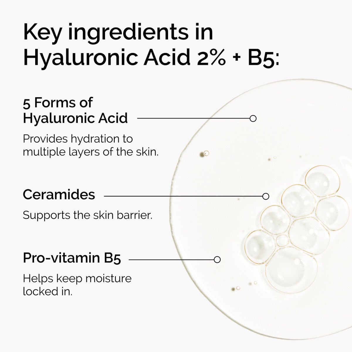 hyaluronic-acid-2-b5-with-ceramides-r3 ord-hyaluronic-acid-2pct-b5-hydrating-serum-ingredients-graphic.jpg