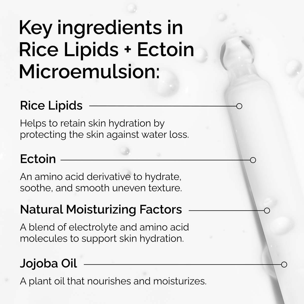rice-lipids-ectoin-microemulsion-m0 ord-rice-lipids-ectoin-microemulsion-key-ingredients.png