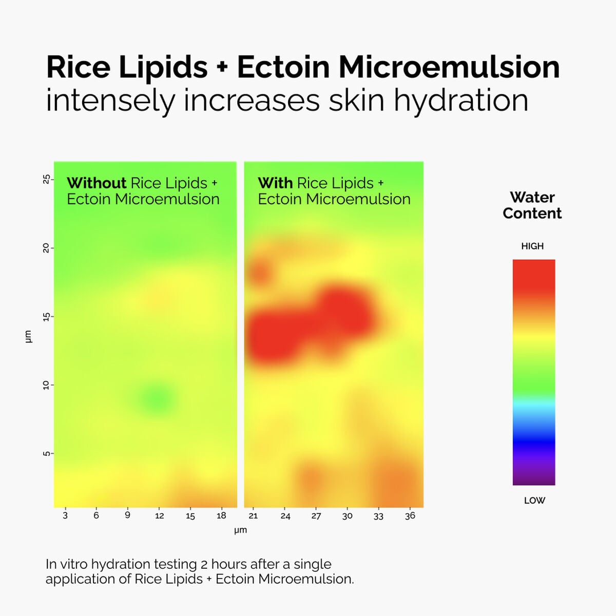 rice-lipids-ectoin-microemulsion-m0 ord-rice-lipids-ectoin-microemulsion-thermal-before-after.jpg